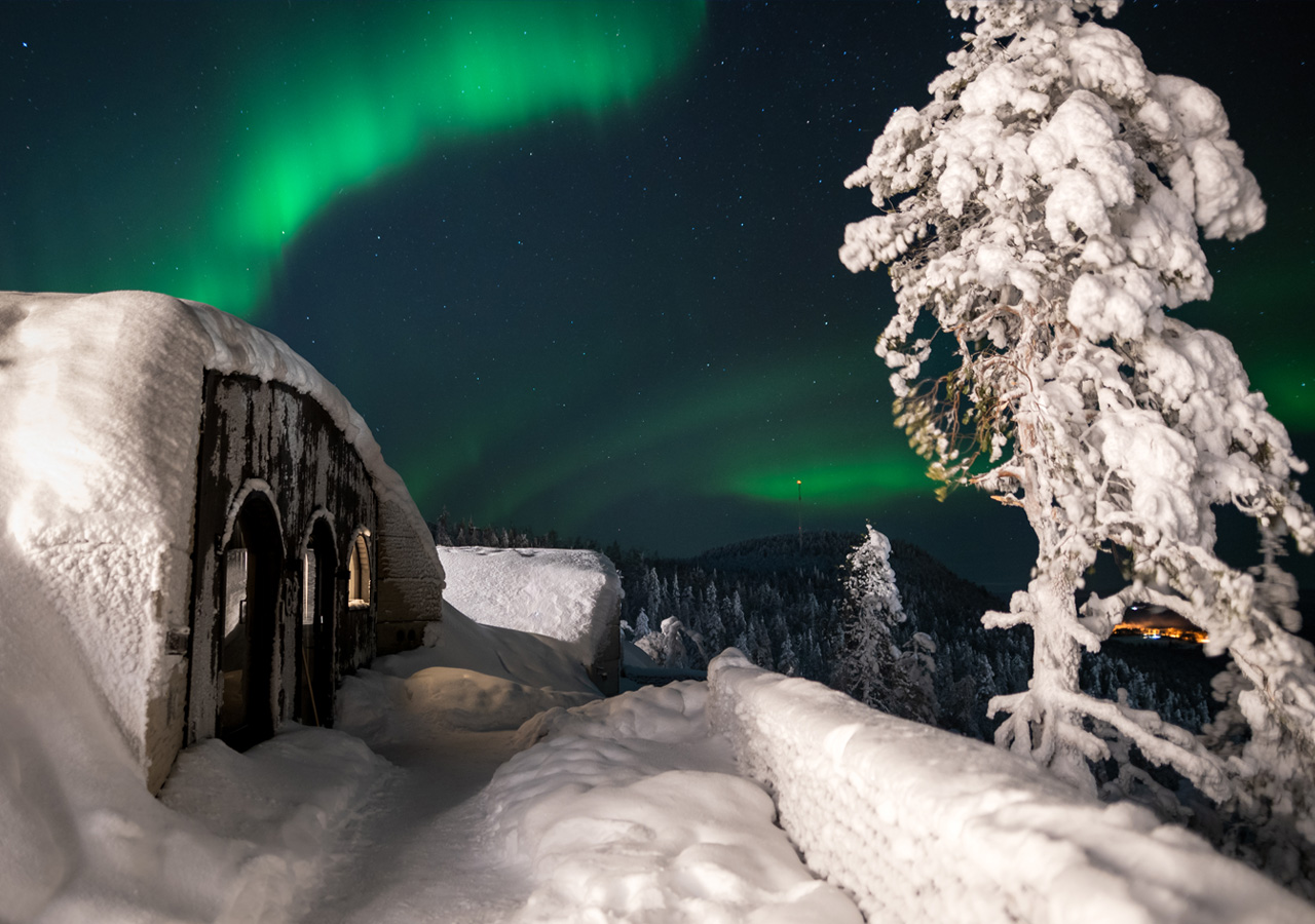 Explore the North
